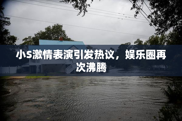 小S激情表演引发热议，娱乐圈再次沸腾
