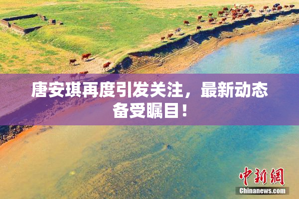 唐安琪再度引发关注，最新动态备受瞩目！