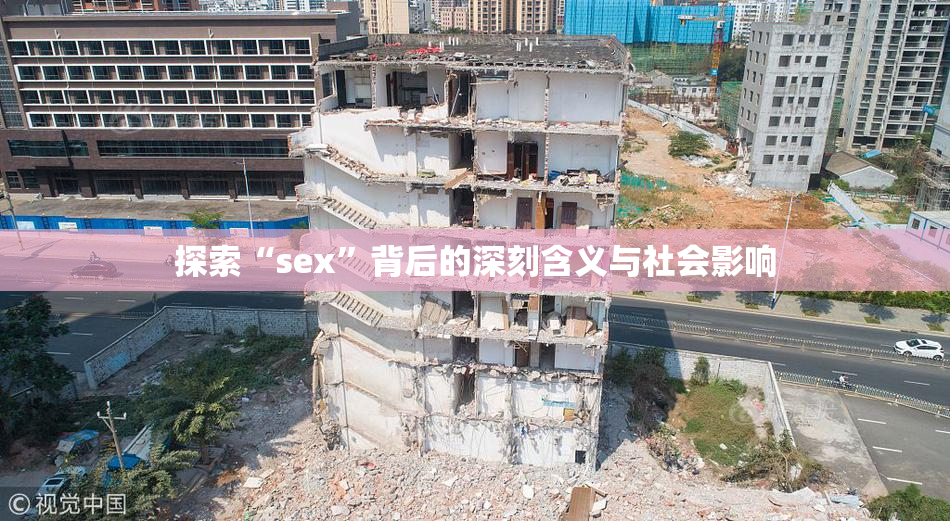 探索“sex”背后的深刻含义与社会影响