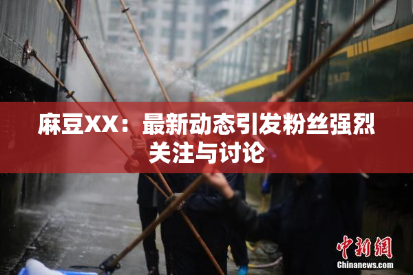 麻豆XX：最新动态引发粉丝强烈关注与讨论