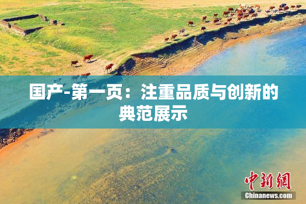 国产-第一页：注重品质与创新的典范展示