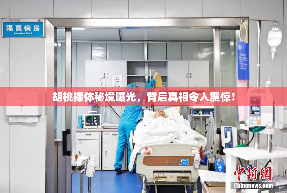 胡桃裸体秘境曝光，背后真相令人震惊！