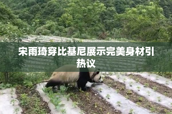 宋雨琦穿比基尼展示完美身材引热议