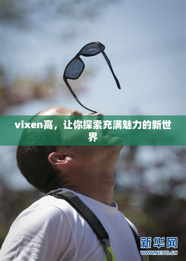 vixen高，让你探索充满魅力的新世界