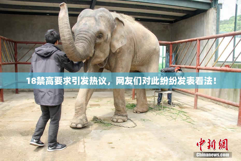 18禁高要求引发热议，网友们对此纷纷发表看法！