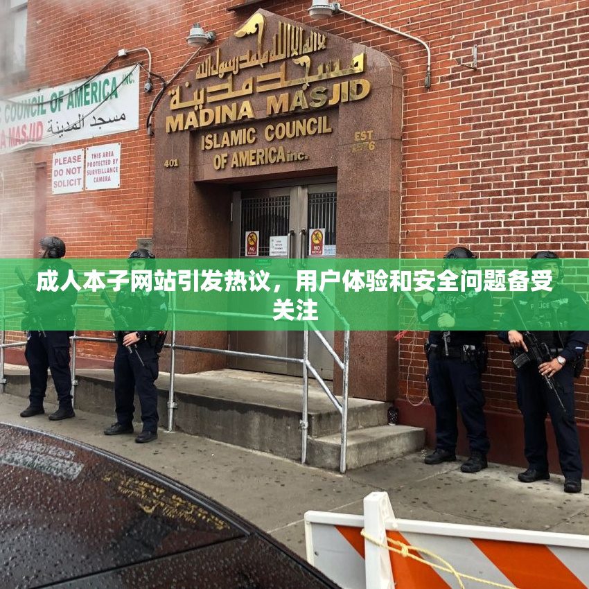 成人本子网站引发热议，用户体验和安全问题备受关注