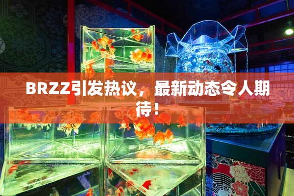 BRZZ引发热议，最新动态令人期待！