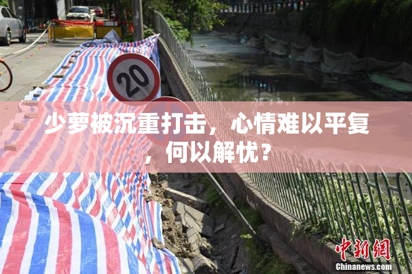 少萝被沉重打击，心情难以平复，何以解忧？