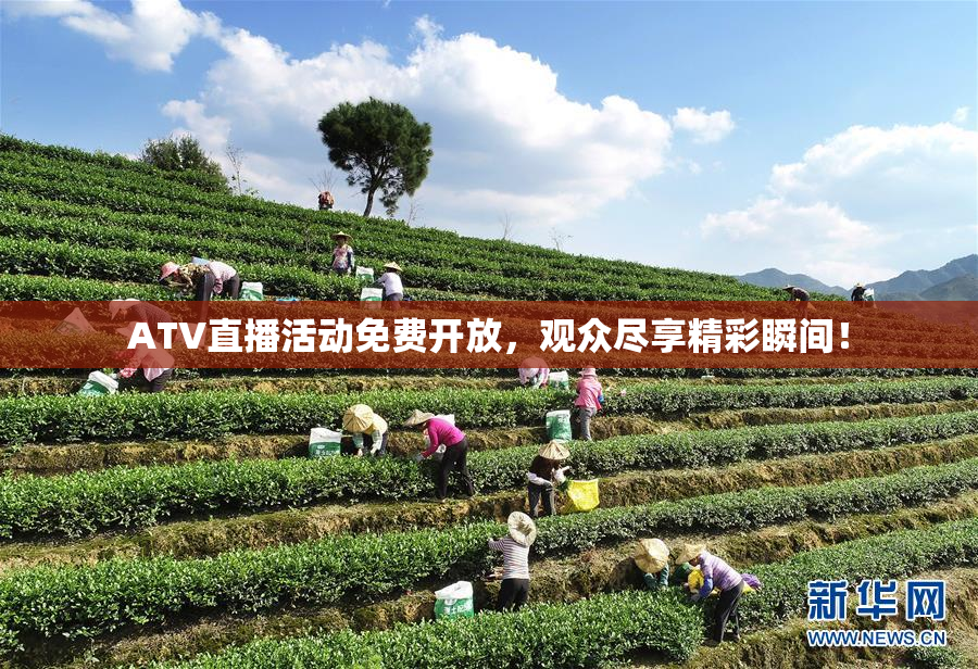 ATV直播活动免费开放，观众尽享精彩瞬间！