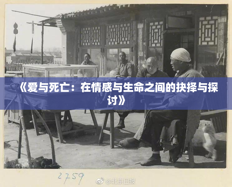 《爱与死亡：在情感与生命之间的抉择与探讨》