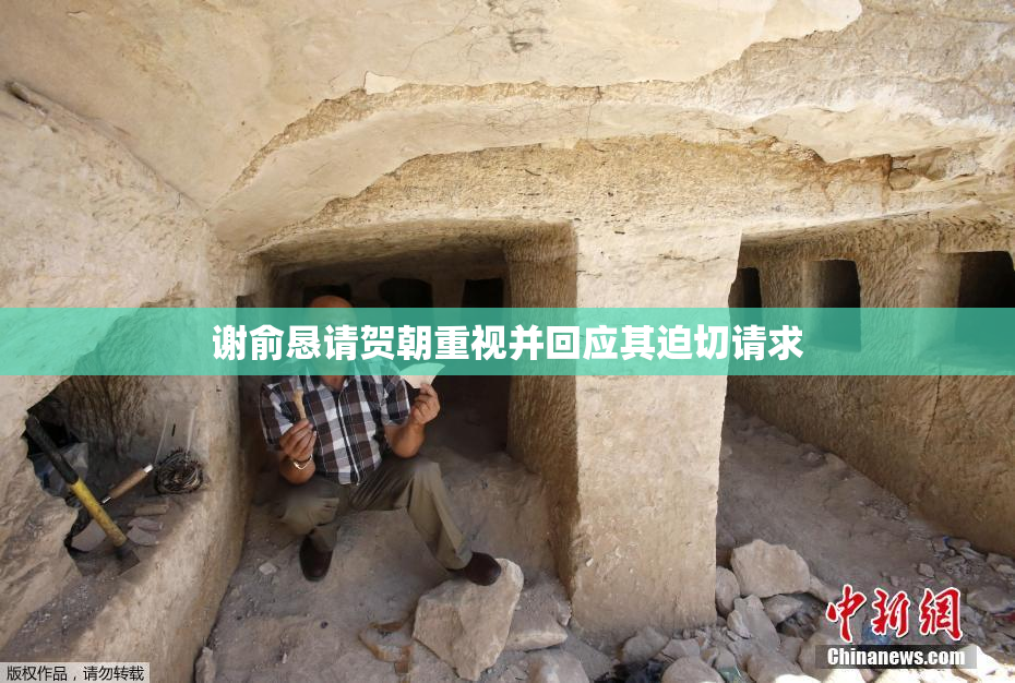 谢俞恳请贺朝重视并回应其迫切请求