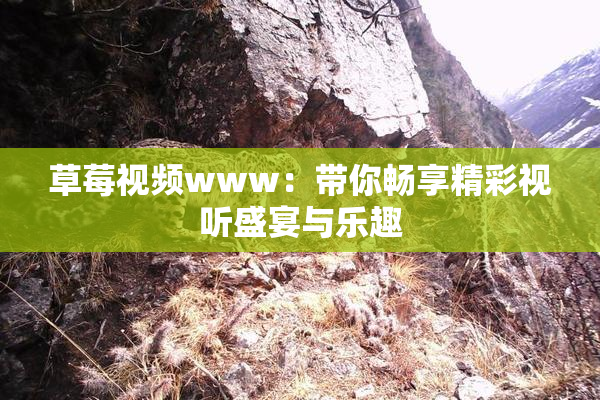 草莓视频www：带你畅享精彩视听盛宴与乐趣