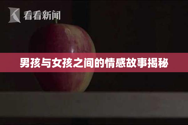 男孩与女孩之间的情感故事揭秘