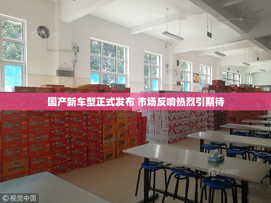 国产新车型正式发布 市场反响热烈引期待