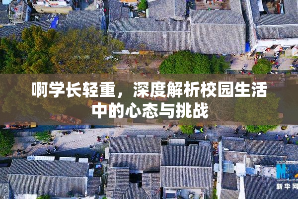 啊学长轻重，深度解析校园生活中的心态与挑战