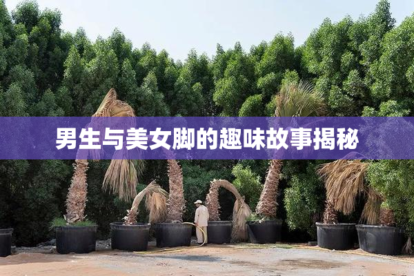 男生与美女脚的趣味故事揭秘
