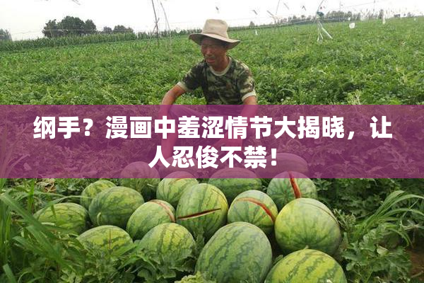 纲手？漫画中羞涩情节大揭晓，让人忍俊不禁！