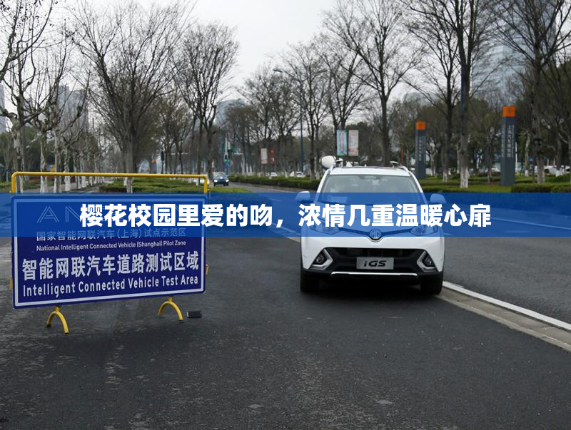 樱花校园里爱的吻，浓情几重温暖心扉