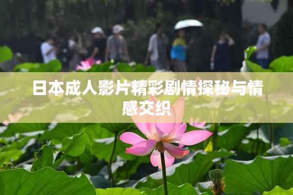 日本成人影片精彩剧情探秘与情感交织