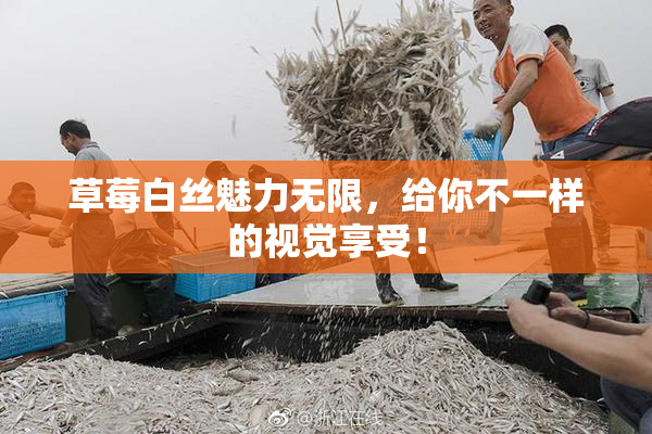 草莓白丝魅力无限，给你不一样的视觉享受！