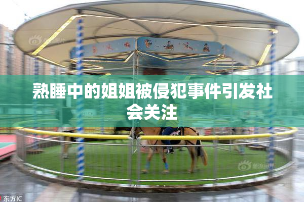 熟睡中的姐姐被侵犯事件引发社会关注