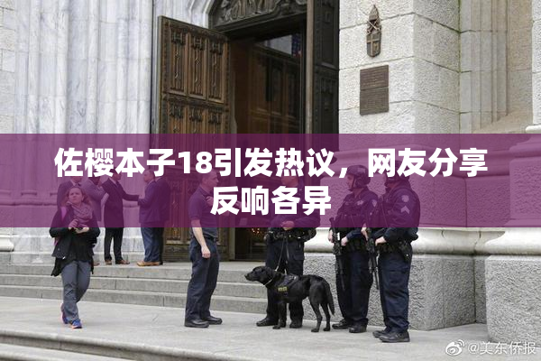 佐樱本子18引发热议，网友分享反响各异
