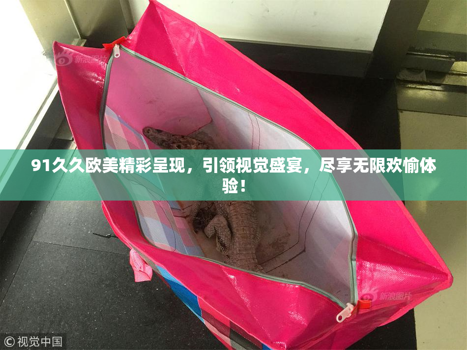91久久欧美精彩呈现，引领视觉盛宴，尽享无限欢愉体验！