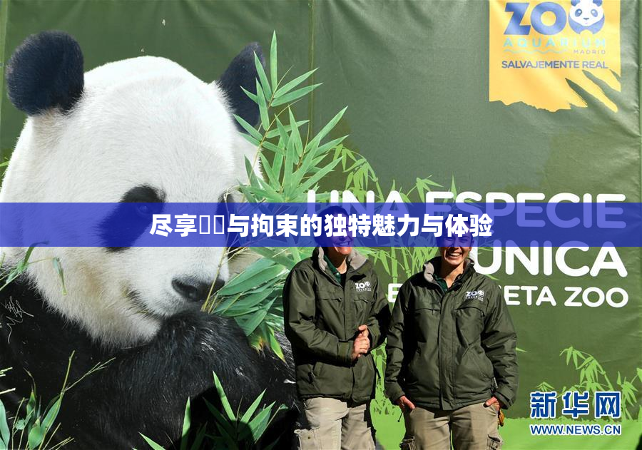 尽享緊縛与拘束的独特魅力与体验