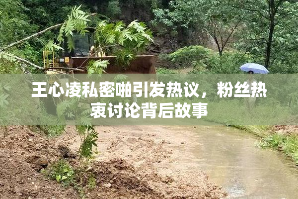 王心凌私密啪引发热议，粉丝热衷讨论背后故事