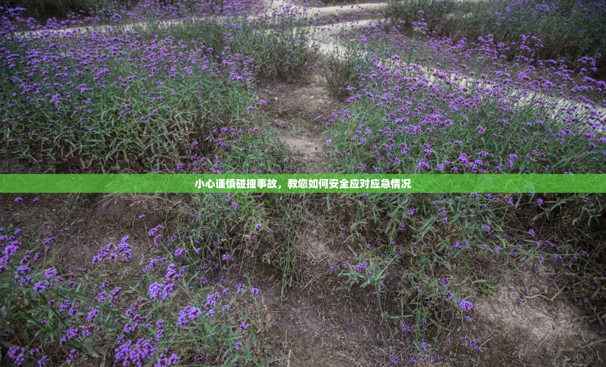 小心谨慎碰撞事故，教您如何安全应对应急情况