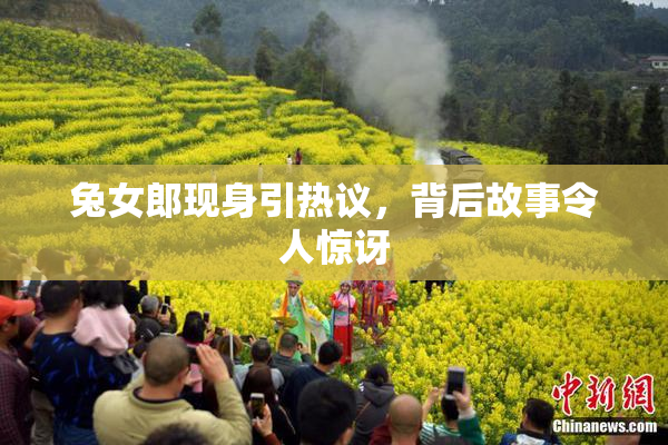 兔女郎现身引热议，背后故事令人惊讶