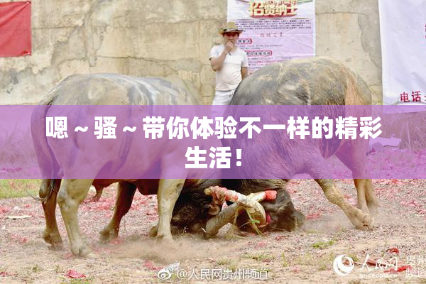嗯～骚～带你体验不一样的精彩生活！