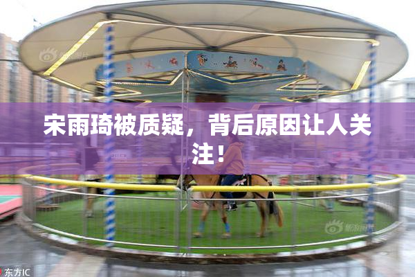 宋雨琦被质疑，背后原因让人关注！