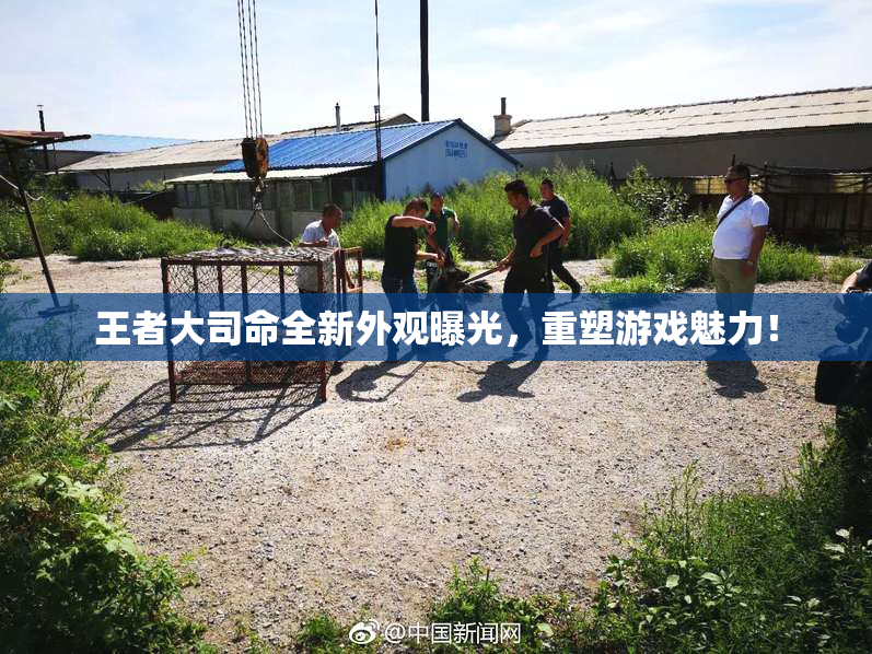 王者大司命全新外观曝光，重塑游戏魅力！