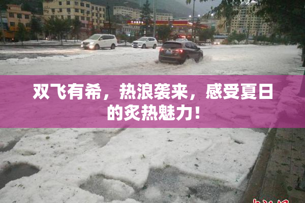 双飞有希，热浪袭来，感受夏日的炙热魅力！