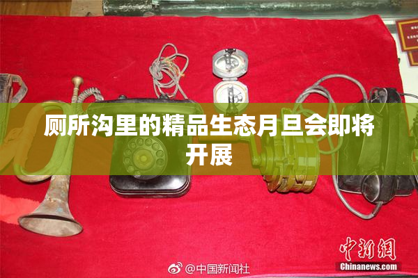 厕所沟里的精品生态月旦会即将开展