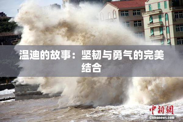 温迪的故事：坚韧与勇气的完美结合