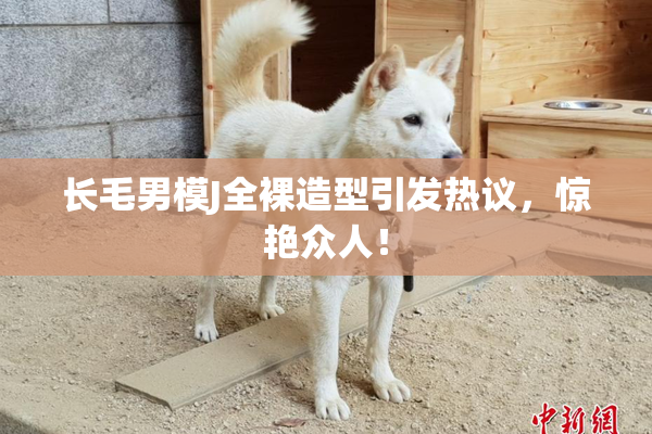 长毛男模J全裸造型引发热议，惊艳众人！