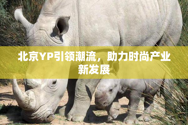 北京YP引领潮流，助力时尚产业新发展