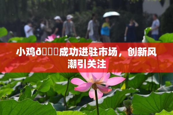 小鸡🐔成功进驻市场，创新风潮引关注