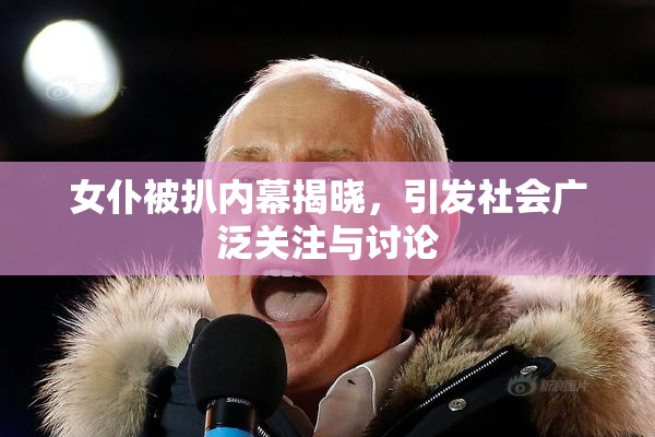 女仆被扒内幕揭晓，引发社会广泛关注与讨论