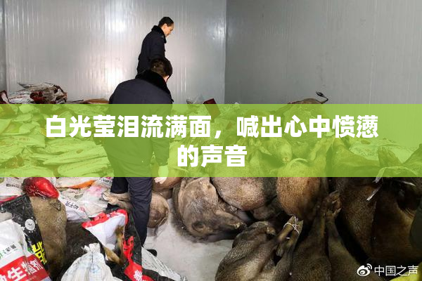 白光莹泪流满面，喊出心中愤懑的声音