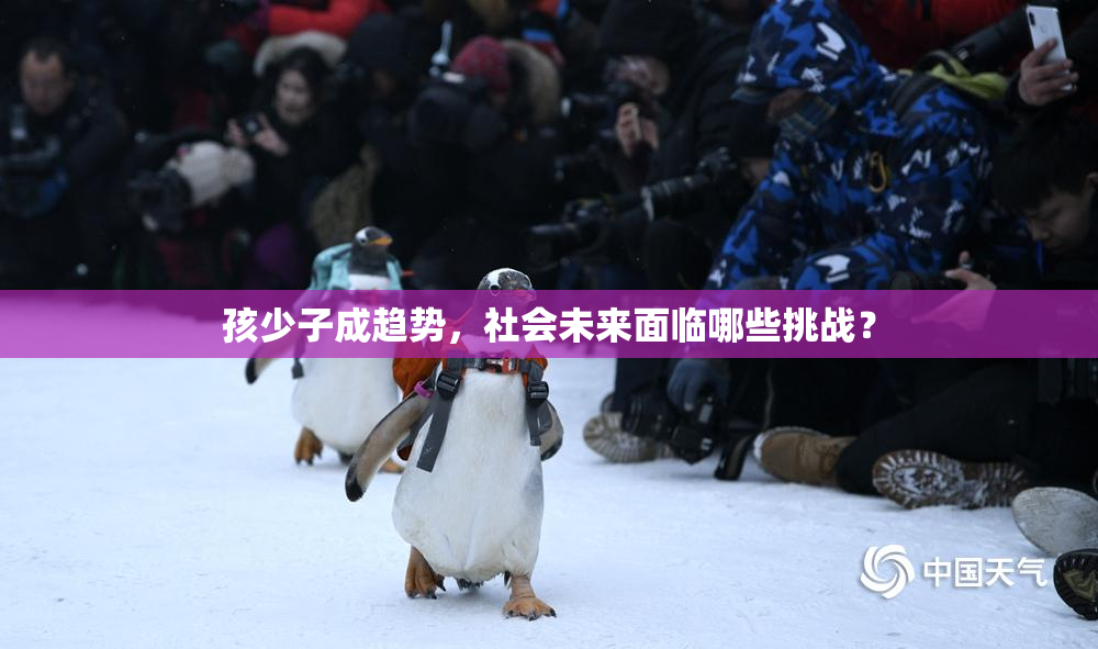 孩少子成趋势，社会未来面临哪些挑战？