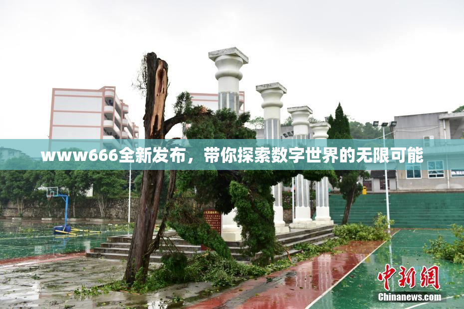 www666全新发布，带你探索数字世界的无限可能