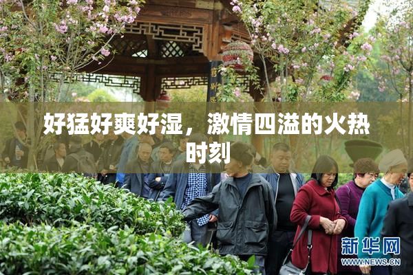 好猛好爽好湿，激情四溢的火热时刻