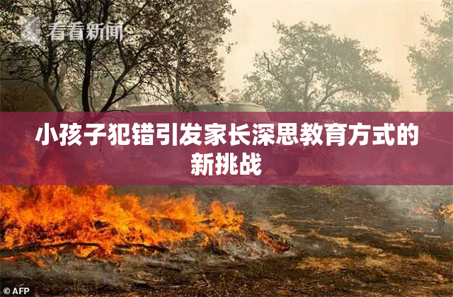 小孩子犯错引发家长深思教育方式的新挑战