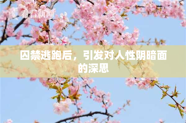 囚禁逃跑后，引发对人性阴暗面的深思