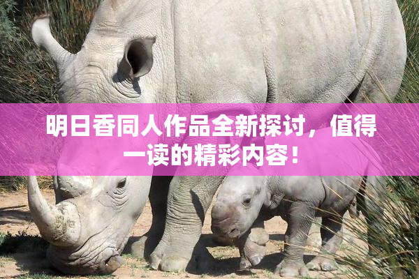 明日香同人作品全新探讨，值得一读的精彩内容！
