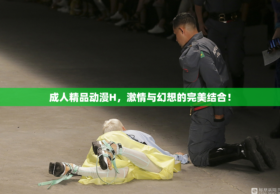 成人精品动漫H，激情与幻想的完美结合！