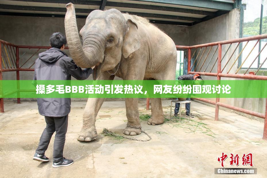 搡多毛BBB活动引发热议，网友纷纷围观讨论